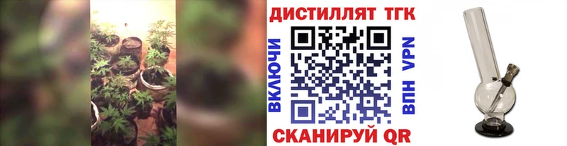Дистиллят ТГК вейп с тгк  дарк нет телеграм  Новоузенск  наркотики 